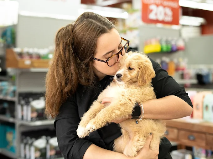 A person with glasses cuddling a golden-colored puppy in a pet store